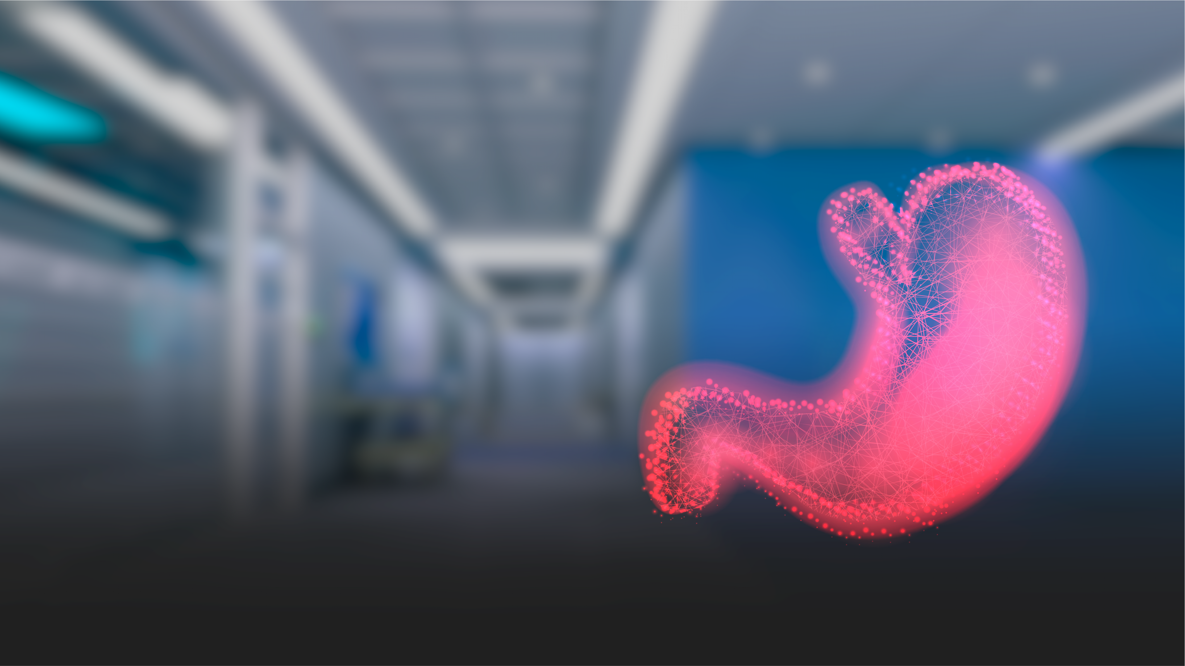 خبرة تزيد عن عشرون عاماً خبرة تزيد عن عشرون عاماً